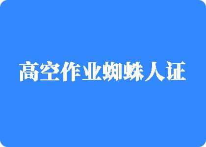 yy操逼视频高空作业蜘蛛人证